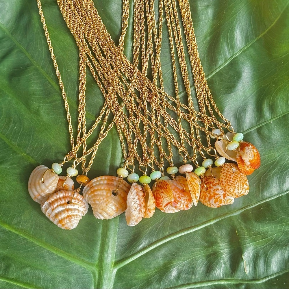 Gold plated wrapped sea shell chain necklace banded Venus dog cockle shells